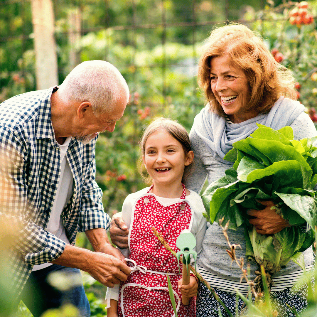 Veteran Support Services
